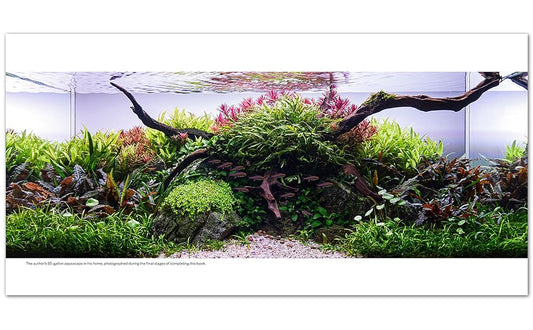 Aquascaping: A Step-by-Step Guide to Planting, Styling, and Maintaining Beautiful Aquariums