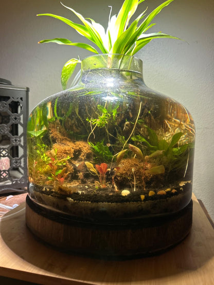 Store Owner  Pondon 2 Gallon image