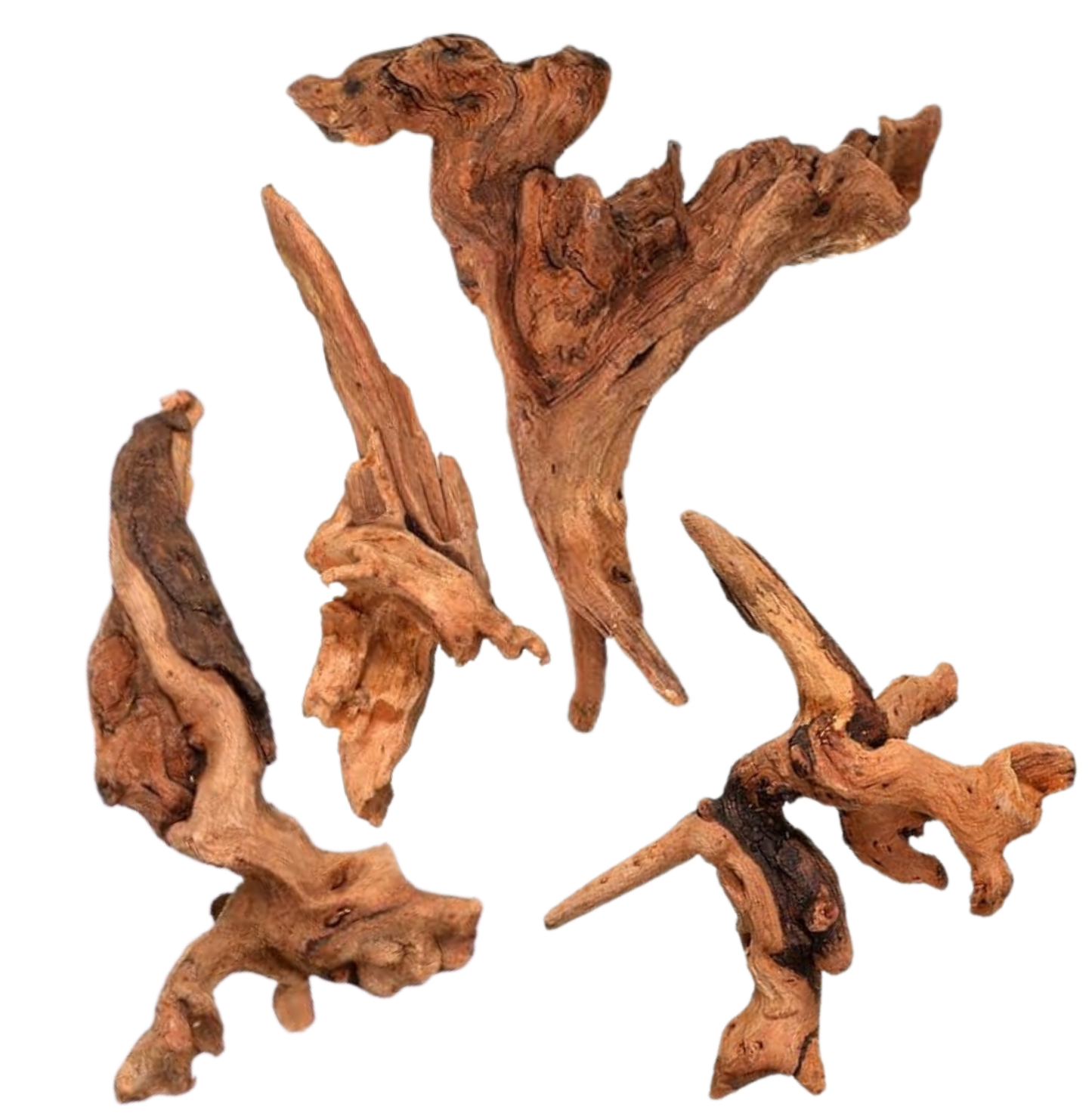 4"-7" Natural Coral Driftwood (4 pieces)